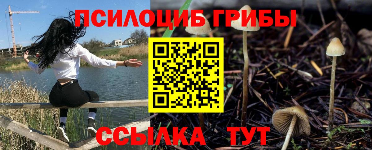 Псилоцибиновые грибы ЛСД Сызрань