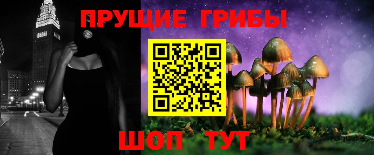 Сызрань  Псилоцибиновые грибы GOLDEN TEACHER  Вход с VPN 